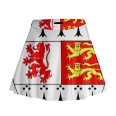 County Carlow Coat Of Arms Mini Flare Skirt by abbeyz71