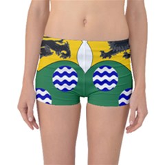 County Leitrim Coat of Arms Boyleg Bikini Bottoms