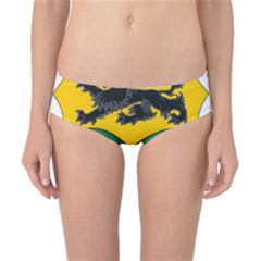 County Leitrim Coat of Arms Classic Bikini Bottoms