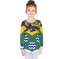 County Leitrim Coat of Arms Kids  Long Sleeve Tee