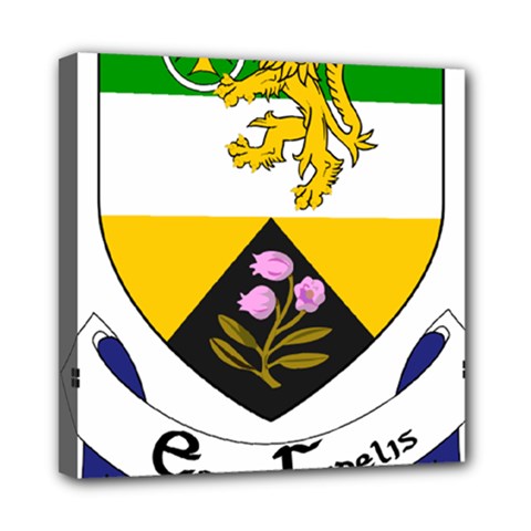 County Offaly Coat of Arms  Mini Canvas 8  x 8 