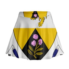 County Offaly Coat Of Arms  Mini Flare Skirt by abbeyz71