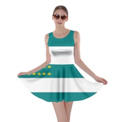 Flag Of Fenian Brotherhood Skater Dress by abbeyz71