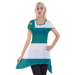 Flag Of Fenian Brotherhood Short Sleeve Side Drop Tunic by abbeyz71