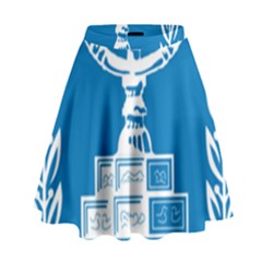 Emblem Of Israel High Waist Skirt by abbeyz71