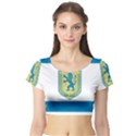 Flag of Jerusalem Short Sleeve Crop Top (Tight Fit) View1