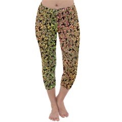 Crystals Rainbow Capri Winter Leggings  by Mariart