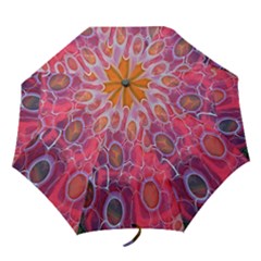 Micro Macro Belle Fisher Nature Stone Folding Umbrellas by Mariart