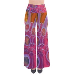 Micro Macro Belle Fisher Nature Stone Pants