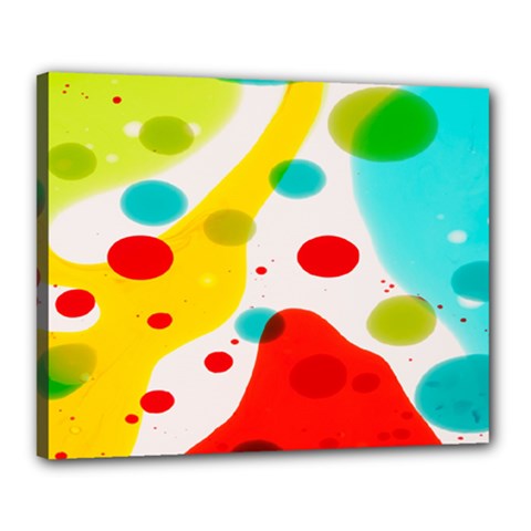 Polkadot Color Rainbow Red Blue Yellow Green Canvas 20  X 16 