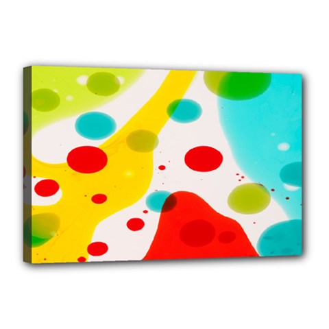 Polkadot Color Rainbow Red Blue Yellow Green Canvas 18  X 12 