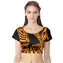 Hole Gold Black Space Short Sleeve Crop Top (Tight Fit) View1