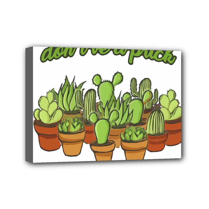 Cactus - Dont be a prick Mini Canvas 7  x 5 