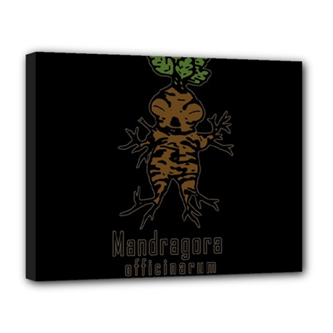 Mandrake Plant Canvas 14  X 11  by Valentinaart