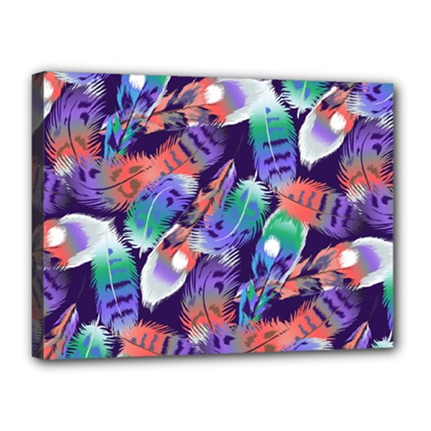 Bird Feathers Color Rainbow Animals Fly Canvas 16  X 12  by Mariart