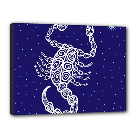 Scorpio Zodiac Star Canvas 16  X 12 