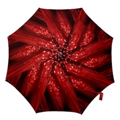 Red Space Line Light Black Polka Hook Handle Umbrellas (small)