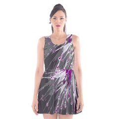 Big Bang Scoop Neck Skater Dress by ValentinaDesign