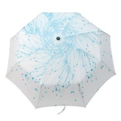 Big Bang Folding Umbrellas by ValentinaDesign