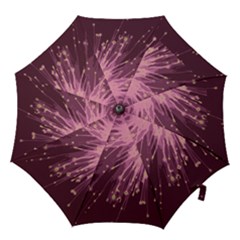 Big Bang Hook Handle Umbrellas (large)