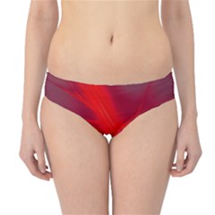 Big Bang Hipster Bikini Bottoms by ValentinaDesign