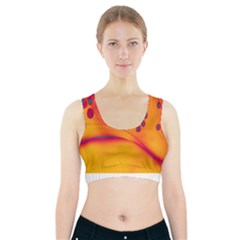 Lights Sports Bra With Pocket by ValentinaDesign