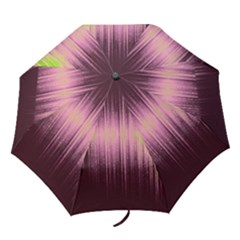 Light Folding Umbrellas