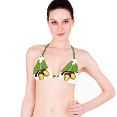 Acorn Hazelnuts Nature Forest Bikini Top