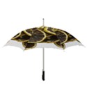 Lemon Dried Fruit Orange Isolated Straight Umbrellas View3