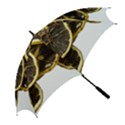 Lemon Dried Fruit Orange Isolated Golf Umbrellas View2