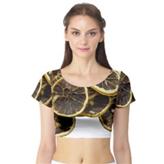 Lemon Dried Fruit Orange Isolated Short Sleeve Crop Top (Tight Fit)