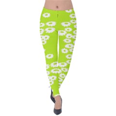 Sunflower Green Velvet Leggings