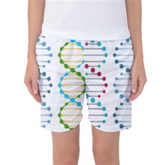 Genetic Dna Blood Flow Cells Women s Basketball Shorts by Mariart