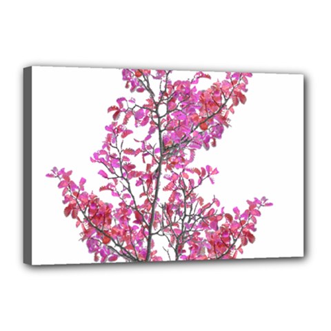 Colorful Cute Floral Design Pretty Floral Photo Manipulation Design In Vivid Magenta And Red Colors Plants, Flora, Design, Tree, Leaves, Nature, Plants, Natural, Botanical, Botanic, Magenta, Vivid, Co by dflcprints