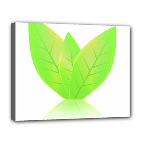 Leaves Green Nature Reflection Canvas 14  X 11  by Nexatart