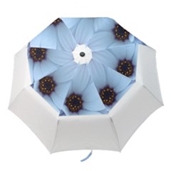 Daisy Flower Floral Plant Summer Folding Umbrellas by Nexatart