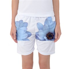 Daisy Flower Floral Plant Summer Women s Basketball Shorts by Nexatart