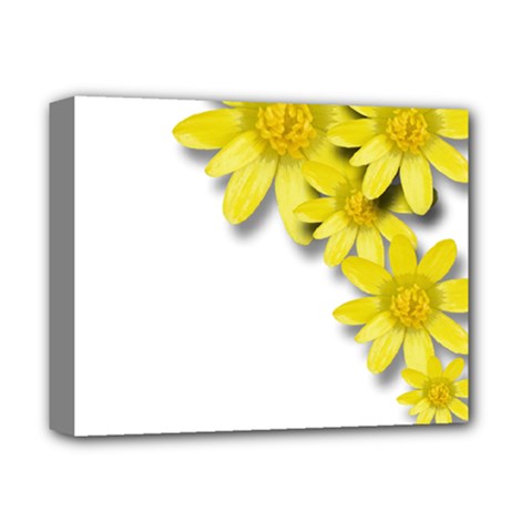 Flowers Spring Yellow Spring Onion Deluxe Canvas 14  X 11  by Nexatart