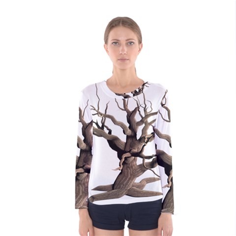 Tree Isolated Dead Plant Weathered Women s Long Sleeve Tee by Nexatart