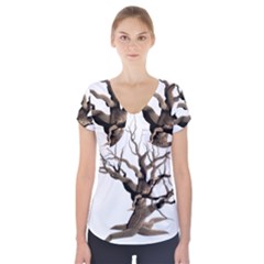 Tree Isolated Dead Plant Weathered Short Sleeve Front Detail Top by Nexatart