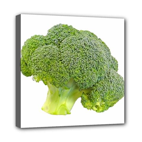 Broccoli Bunch Floret Fresh Food Mini Canvas 8  X 8 