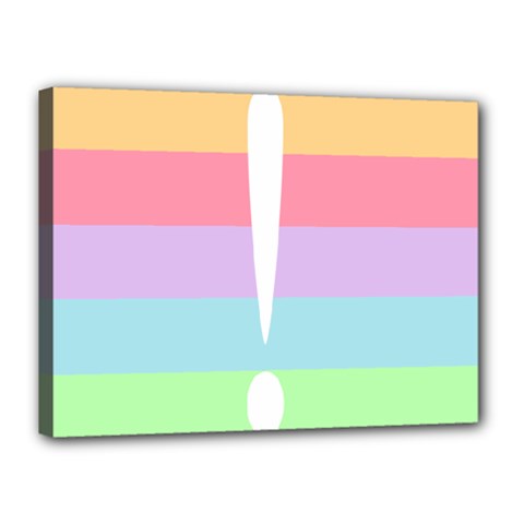 Condigender Flags Canvas 16  X 12  by Mariart