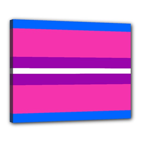 Transgender Flags Canvas 20  X 16 