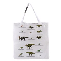 Dinosaurs Names Grocery Tote Bag by Valentinaart