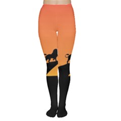 Lion Sunset Wildlife Animals King Women s Tights by Nexatart