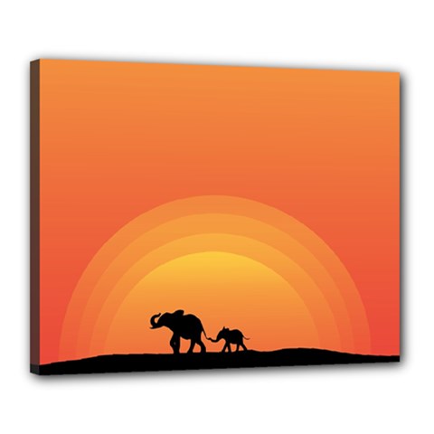 Elephant Baby Elephant Wildlife Canvas 20  x 16 