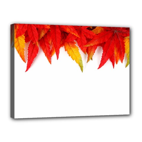 Abstract Autumn Background Bright Canvas 16  X 12  by Nexatart