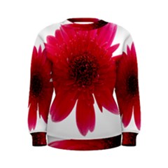 Flower Isolated Transparent Blossom Women s Sweatshirt by Nexatart