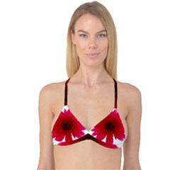 Flower Isolated Transparent Blossom Reversible Tri Bikini Top