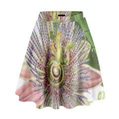 Passion Flower Flower Plant Blossom High Waist Skirt by Nexatart